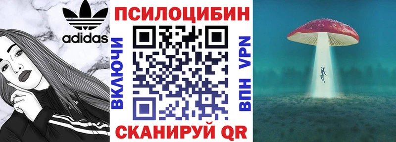 Купить закладки  Сергач  Галлюциногенные грибы Magic Shrooms 